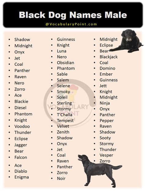 male black dog names